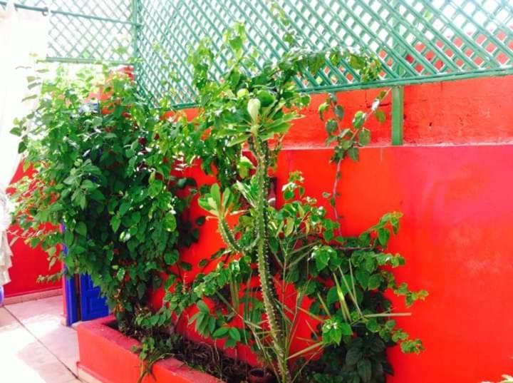 Riad Green Lotus Marakeş Dış mekan fotoğraf