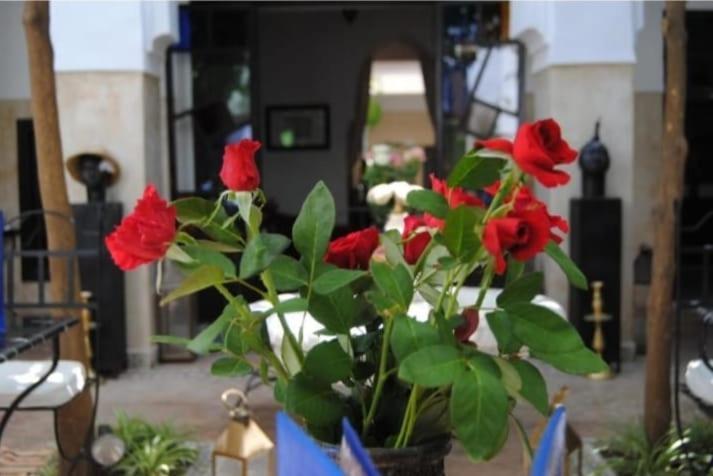 Riad Green Lotus Marakeş Dış mekan fotoğraf